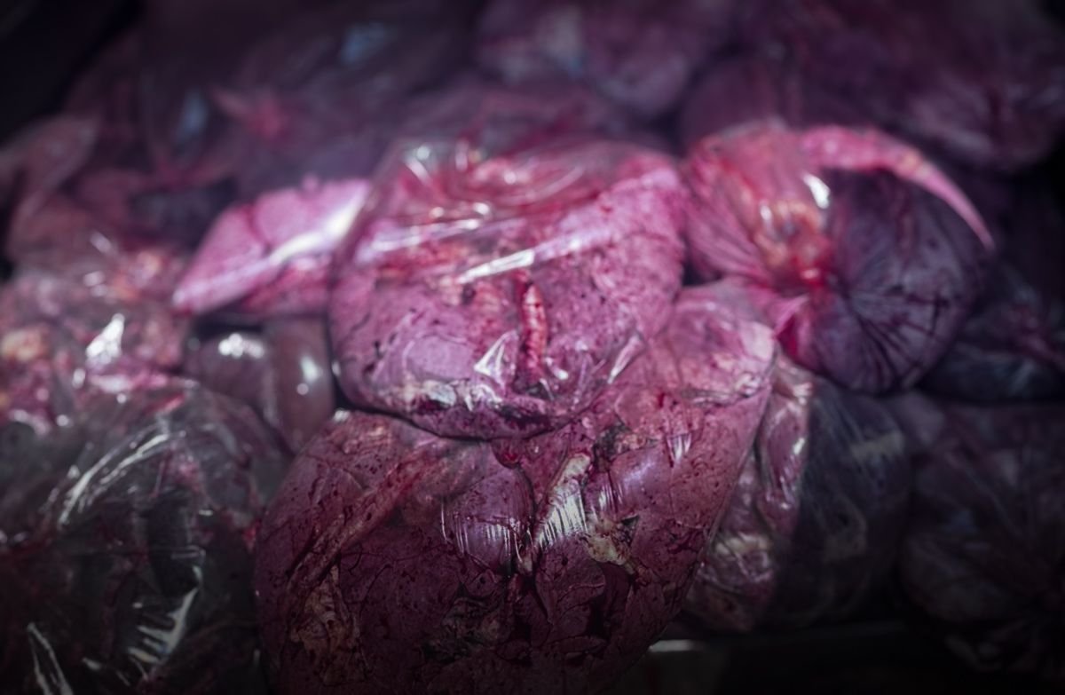 Diyarbakır’da 3 Ton Sakatat İmha Edildi