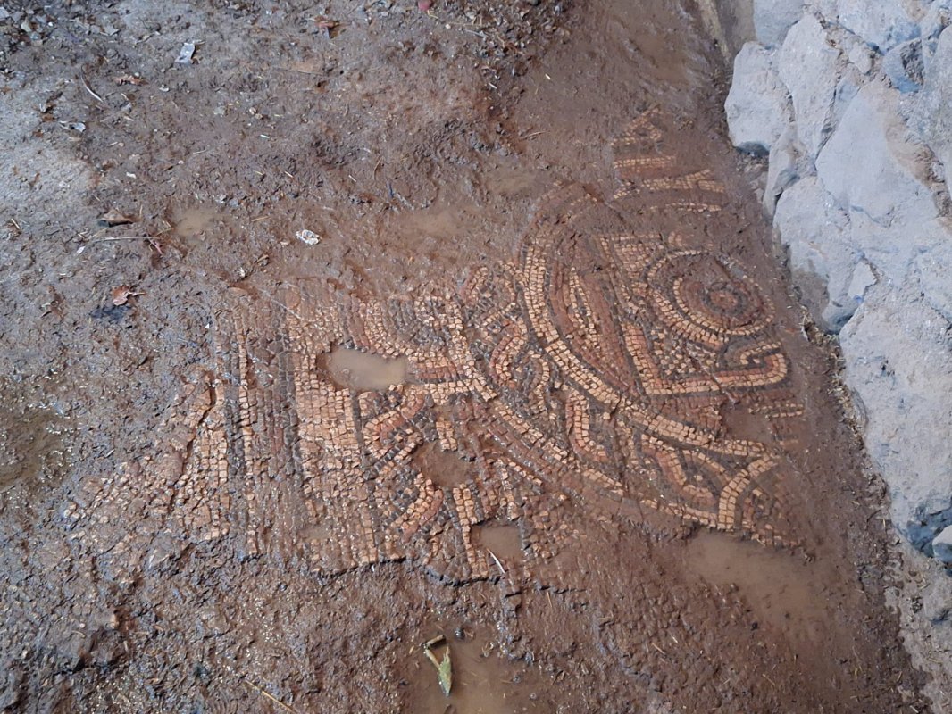 Mardin'de 1500 Yıllık Geç Roma Mozaiği Ele Geçirildi