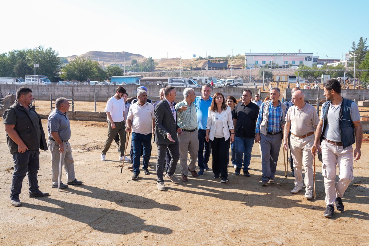 Serra Bucak Hayvan Borsası’nda İnceledi, “Kış Gelmeden Önlem Alacağız”