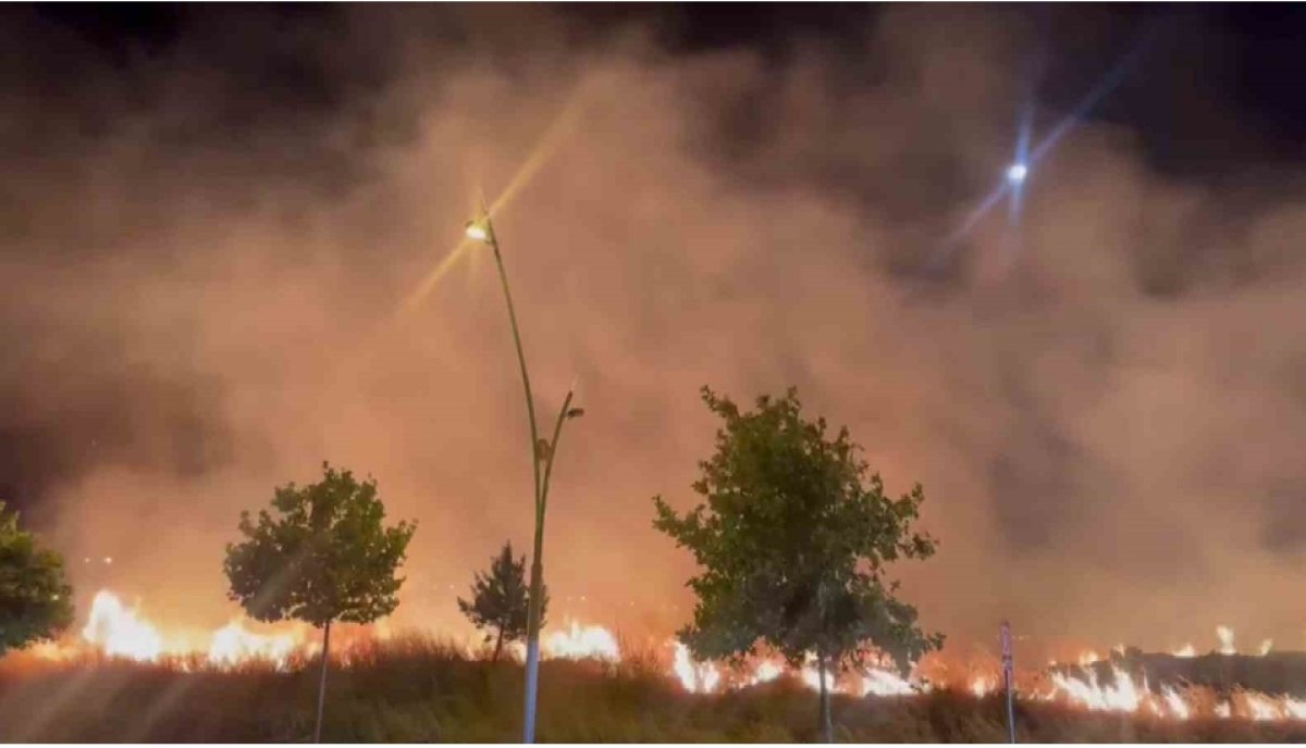 Diyarbakır'da Geceyi Aydınlatan Yangın Yerleşim Alanlarına Ulaşmadan Kontrol Altına Alındı