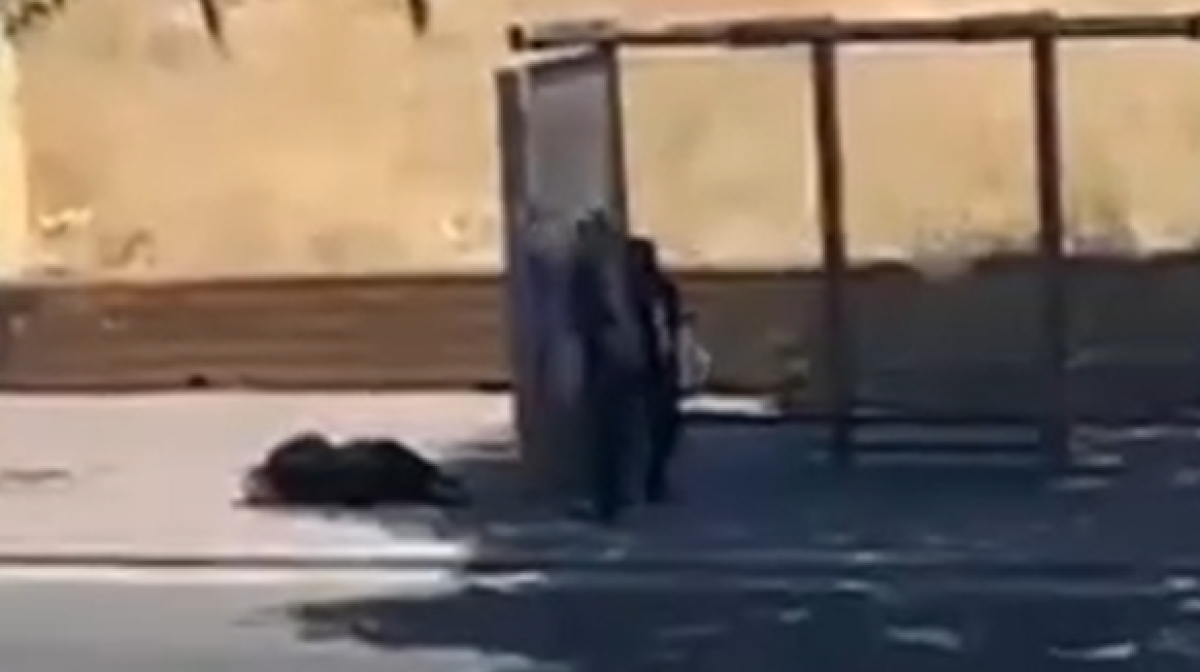 Şanlıurfa'da Boşanma Aşamasındaki Eşini Durakta Silahla Vurdu