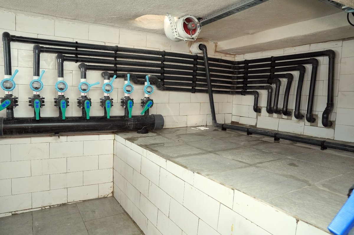 Dicle Üniversitesi’nde Atıl Kalan Havuzbaşı Yeniden Hayat Buldu