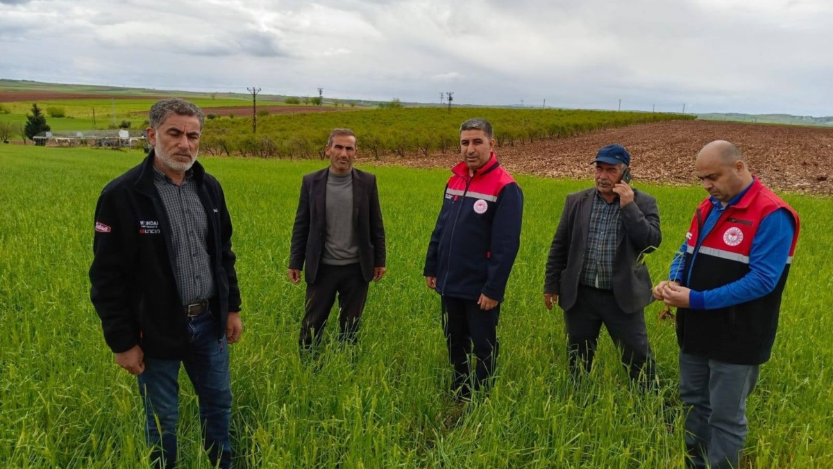İl Tarım Müdürlüğü sahada: ‘Üreticinin yanındayız’