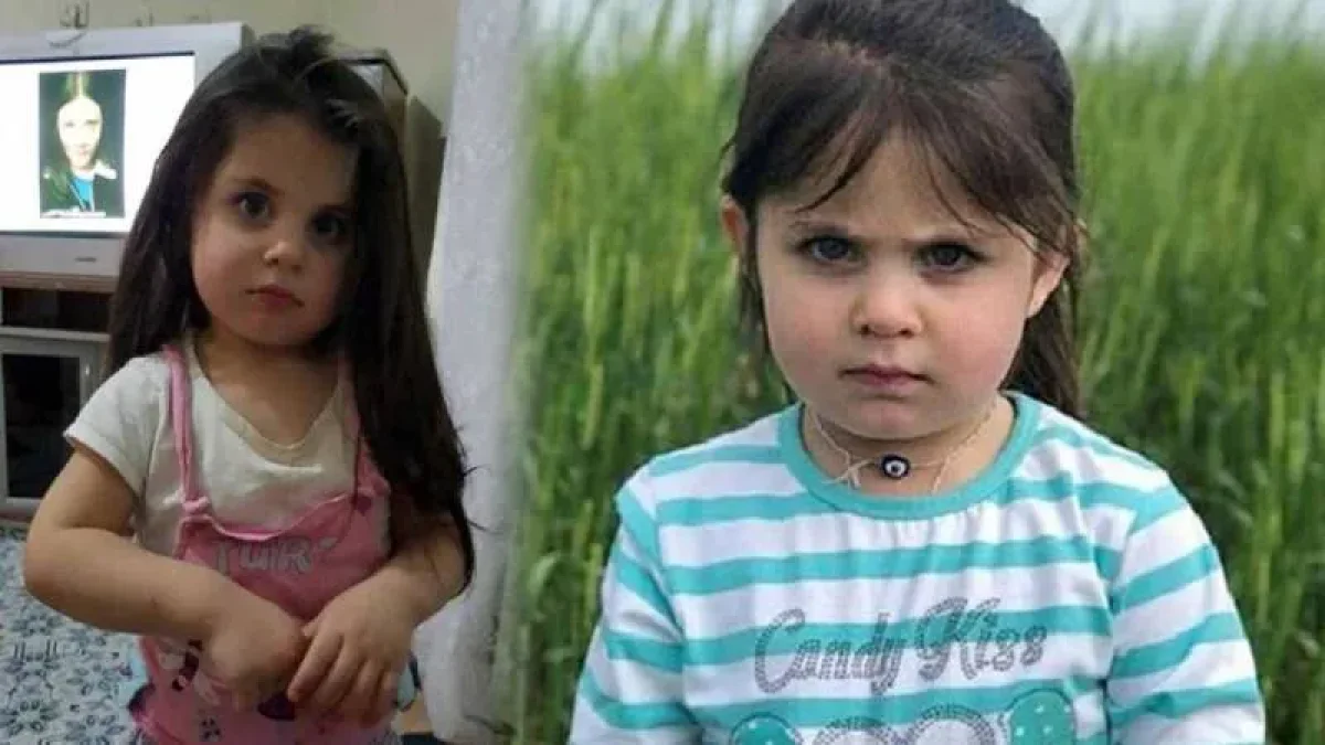 Leyla Aydemir Davasında Karar Çıktı