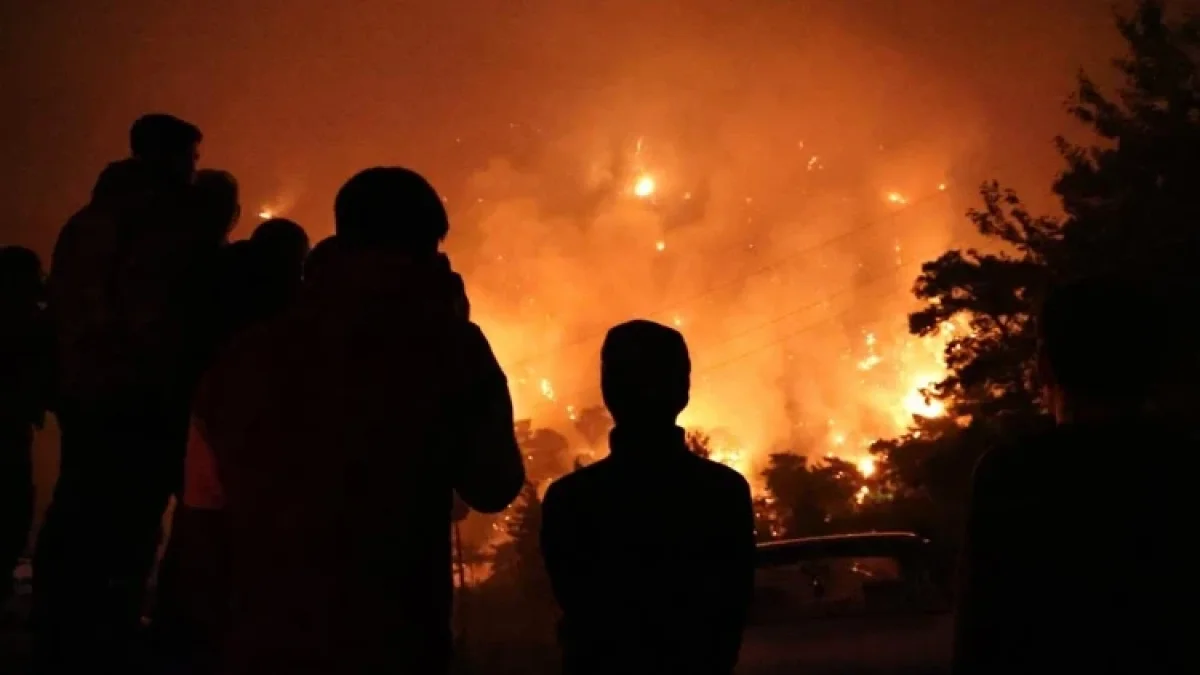 Dalamanda Gece Yarısı Korkutan Orman Yangını