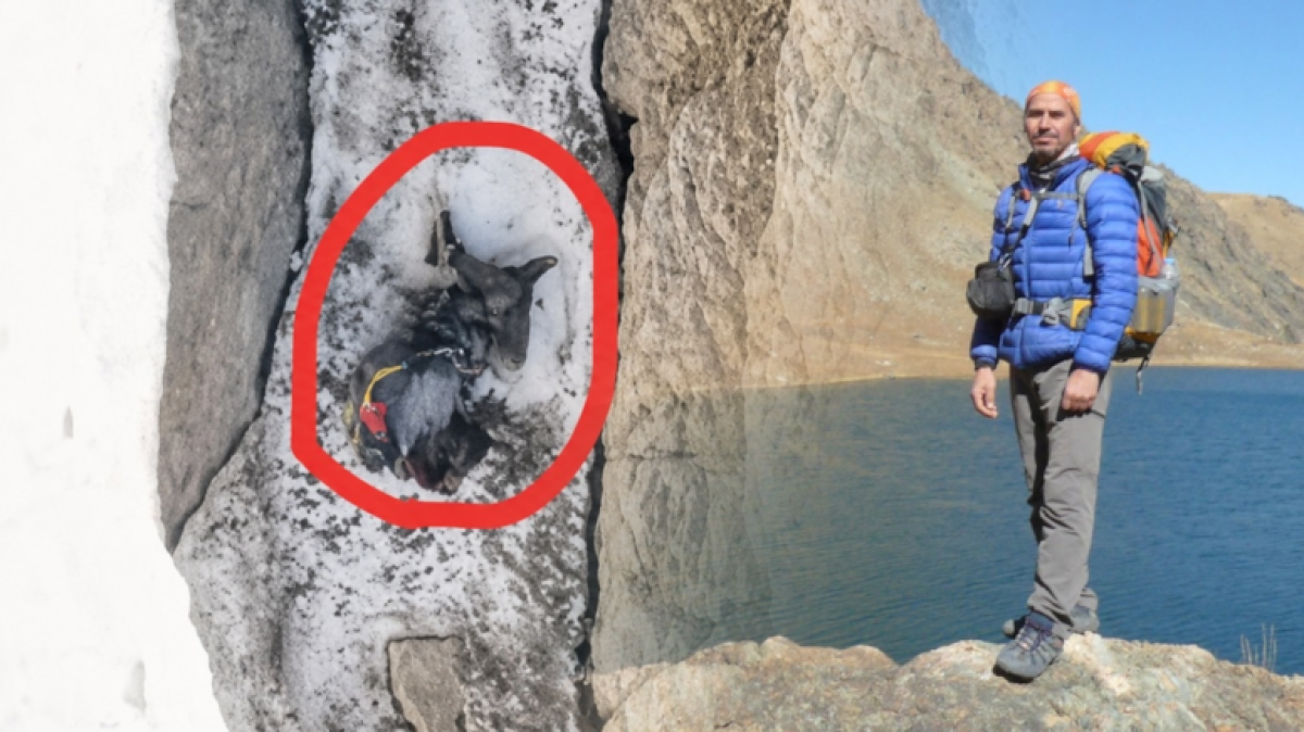 5 Günlük Arayış Acı Sonla Bitti: Dağcı Yüksel Işık'ın Cansız Bedenine Ulaşıldı